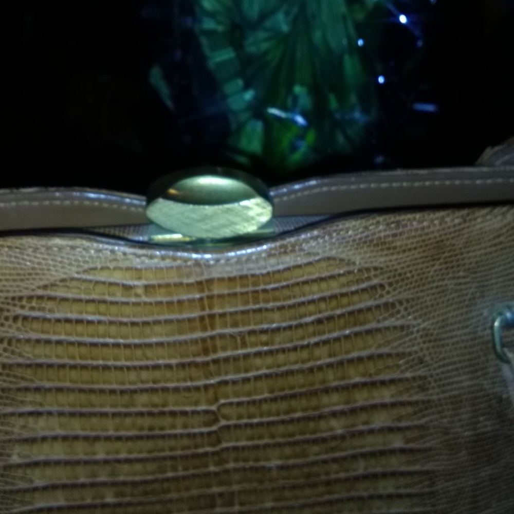 Bellestone Purse - image 3